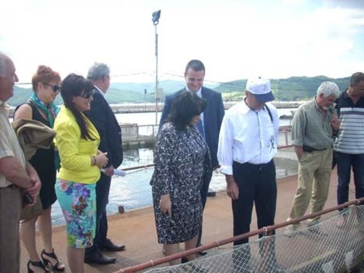 Суша и ВЕЦ застрашават 1200 тона риба в яз. "Кърджали"