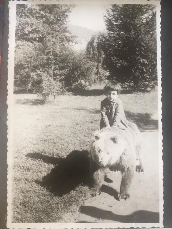 Цвета Караянчева: Побойничка съм от малка, слушам хардрок