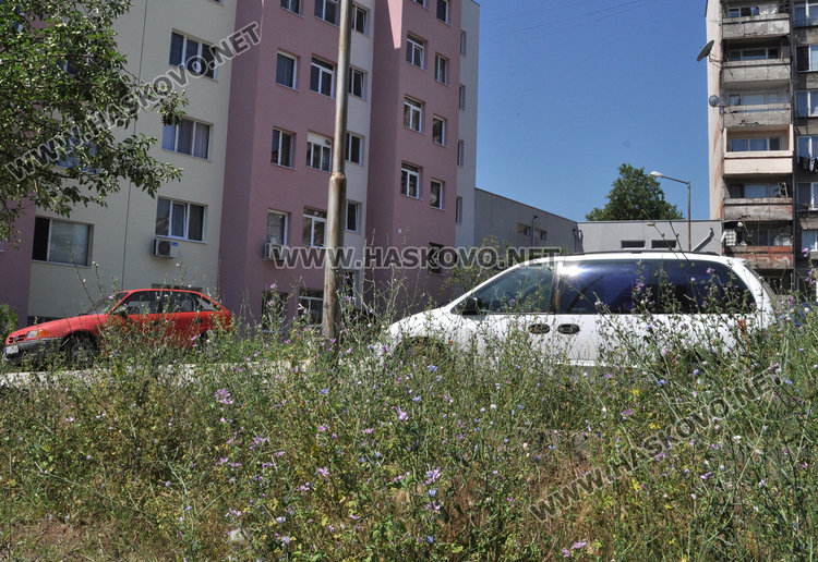 Искат паркинг и детска площадка между блокове в „Орфей“