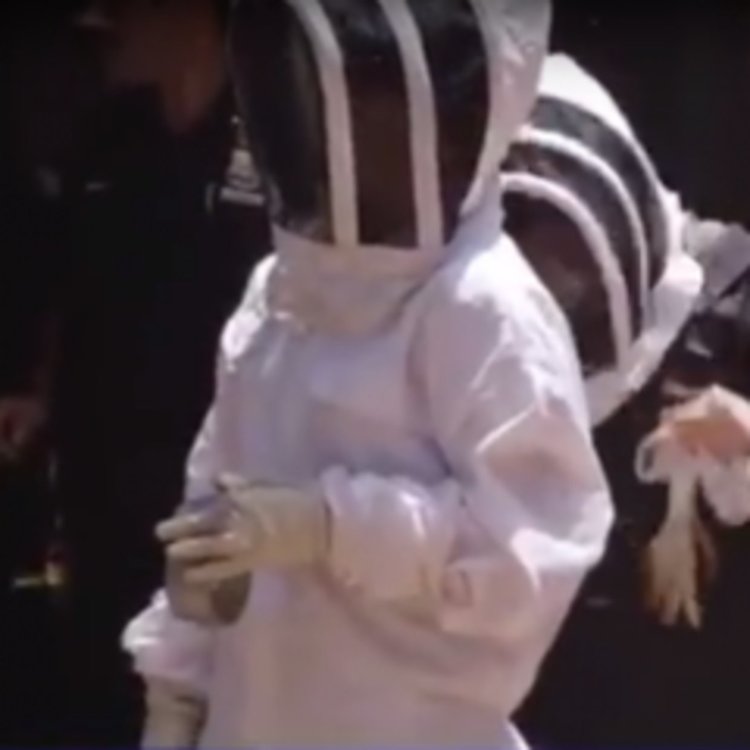 Хиляди пчели блокираха входа на небостъргач в Манхатън