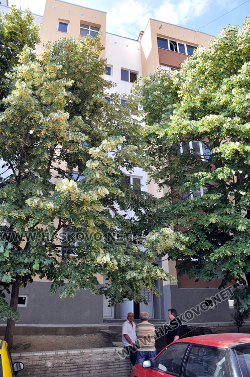 Млад мъж загина на място след полет от 6-тия етаж в „Бадема“