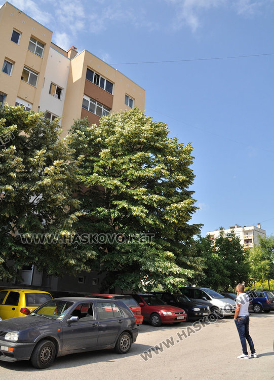 Млад мъж загина на място след полет от 6-тия етаж в „Бадема“