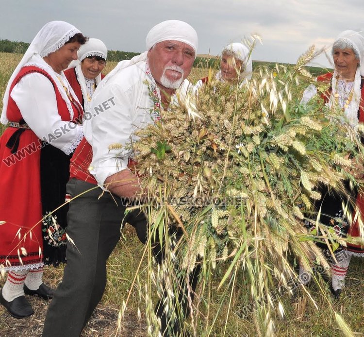 Пшеница вместо ечемик зажънаха първо в димитровградското село Странско 