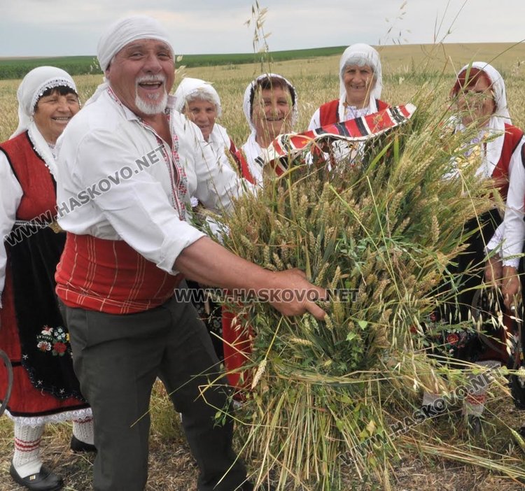 Пшеница вместо ечемик зажънаха първо в димитровградското село Странско 
