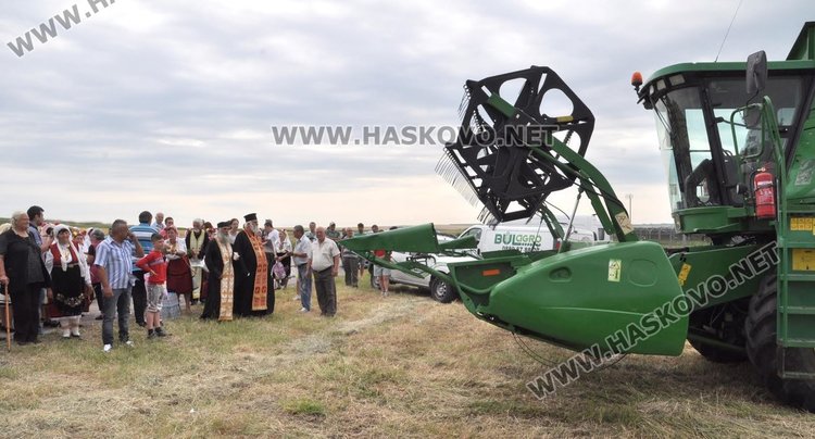 Пшеница вместо ечемик зажънаха първо в димитровградското село Странско 