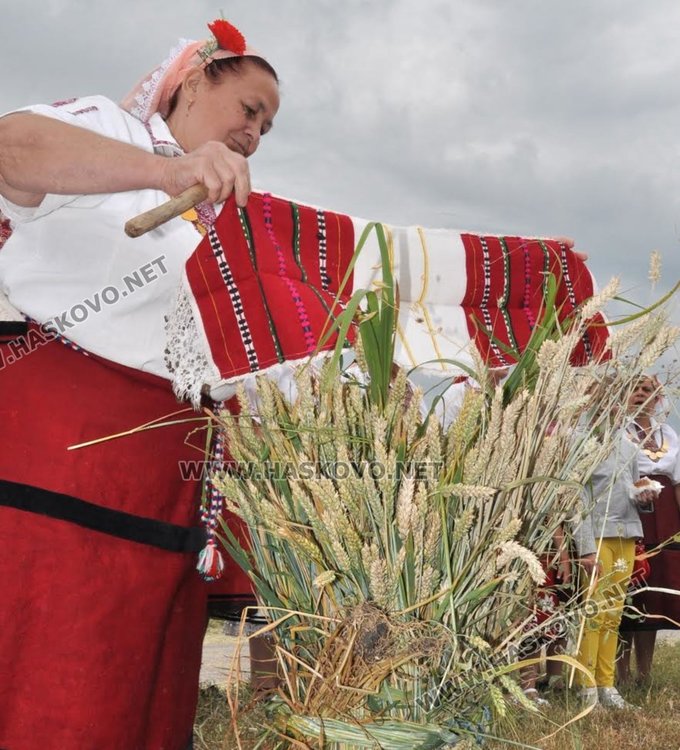 Пшеница вместо ечемик зажънаха първо в димитровградското село Странско 
