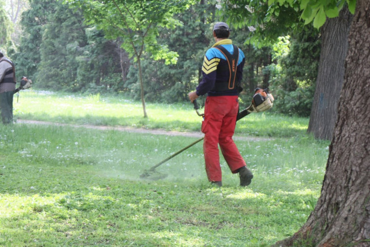 150 дка паркове и градини в Кърджали са пръскани за кърлежи   