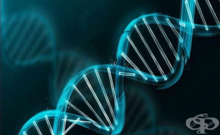 Български невролози откриха нова невродегенеративна болест 