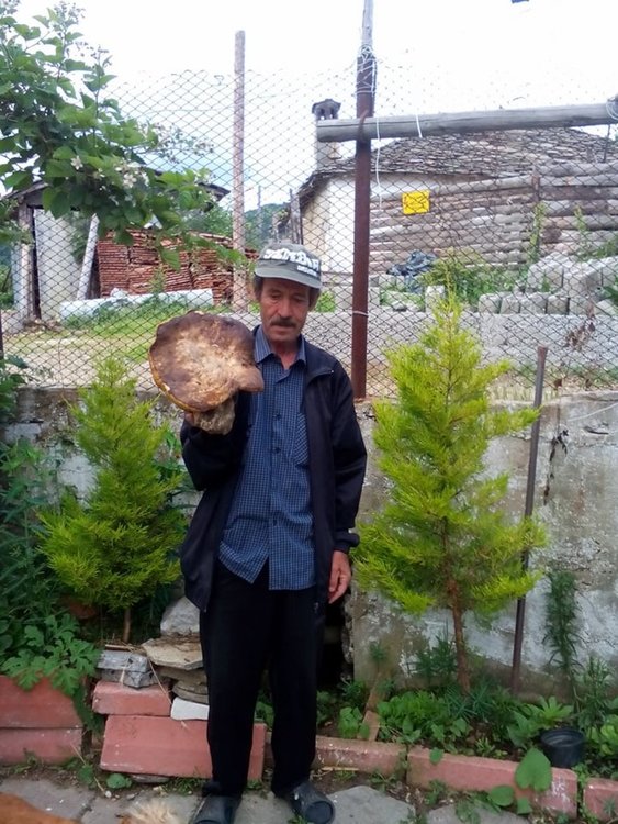 Манатарка-гигант намери бай Енвер в района на „Орлови скали“