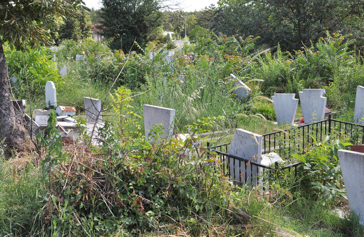 Непроходимите алеи във вътрешността на парка