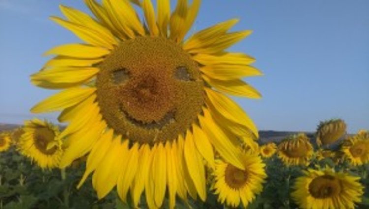 Слънчев вторник, живакът скача до 32°