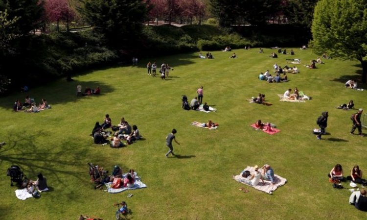 МС отпусна място за парк на "Младост" – цели 17 дка  