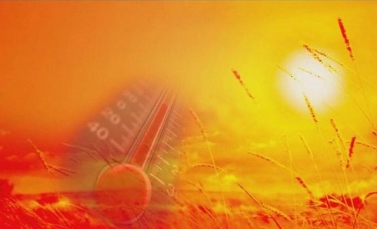 Необичайната жега в САЩ продължава, до 49 градуса днес