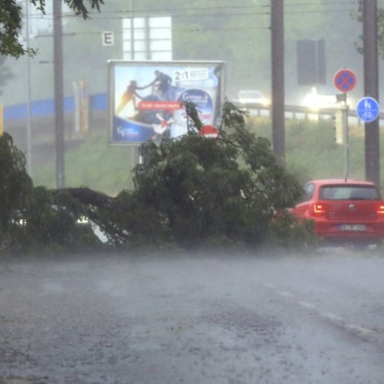 Торнадо уби човек в Германия