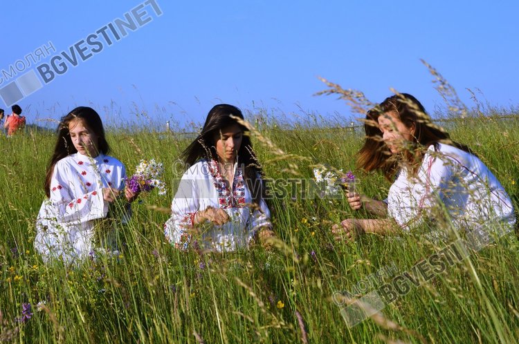 Еньовден е! Природата тържествува