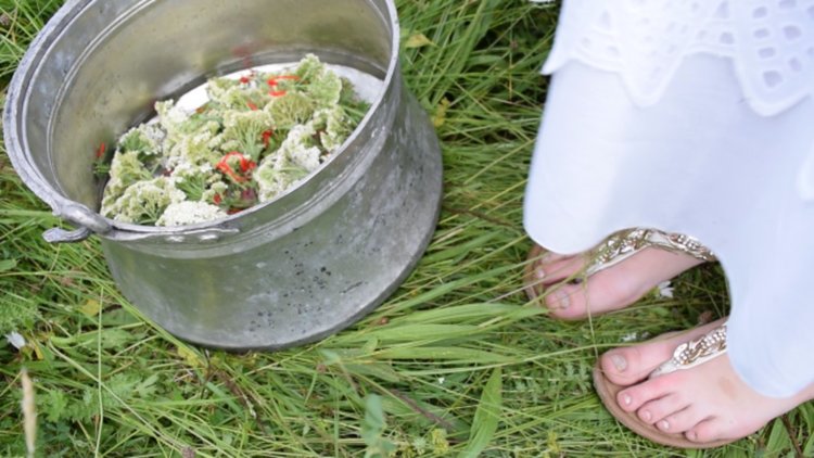 Еньовден – ден на слънцето и билките