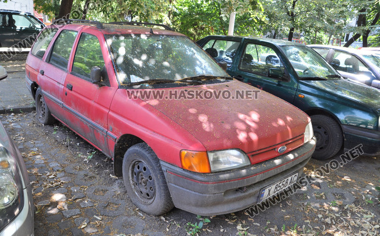 Хасковлийка доволна, че паякът на общината й вдига колата