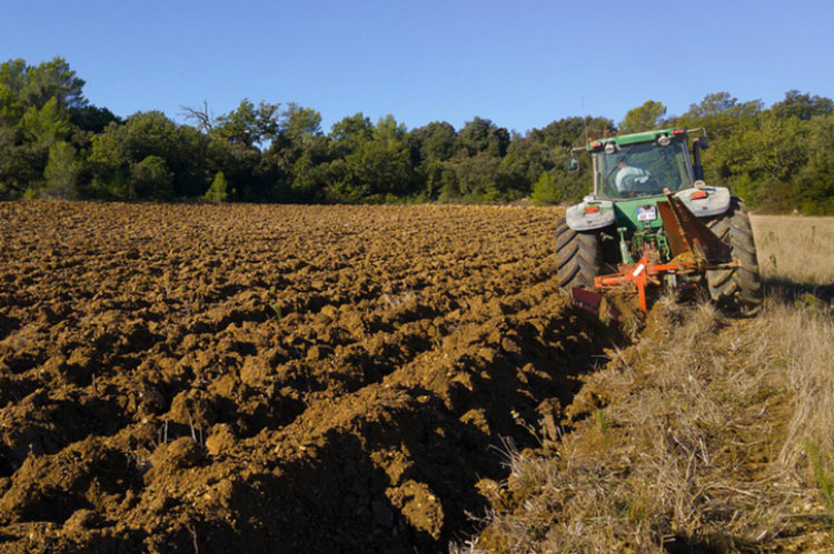 Търсят работници в кухня и колбасари. Шанс за трактористи, мотокаристи и кроячи