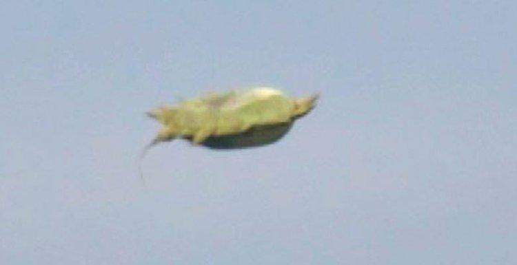 Канадец засне зелен летящ обект с огромни шипове  