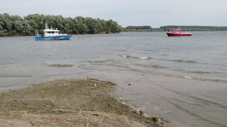 Установиха критично застрашена есетра с хайвер в Дунав