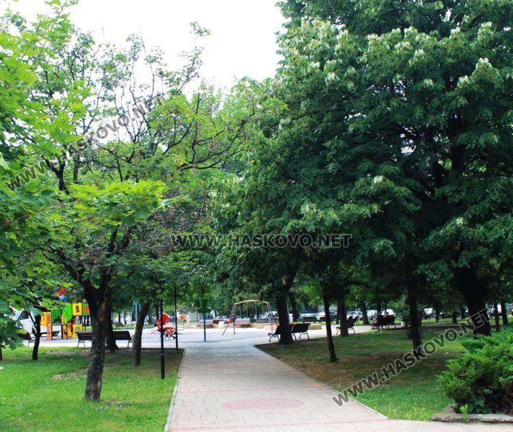 Лакираха настилката на димитровградски парк