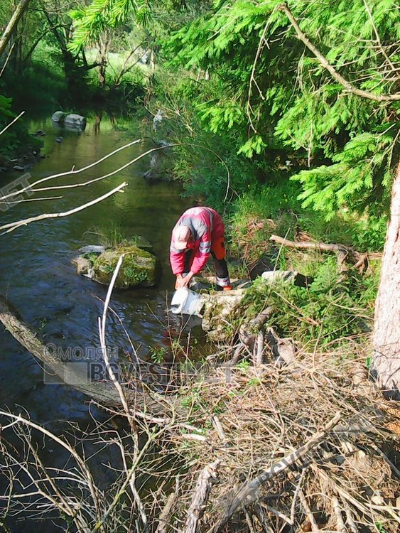 44 килограма балканска пъстърва заплуваха в река Триградска
