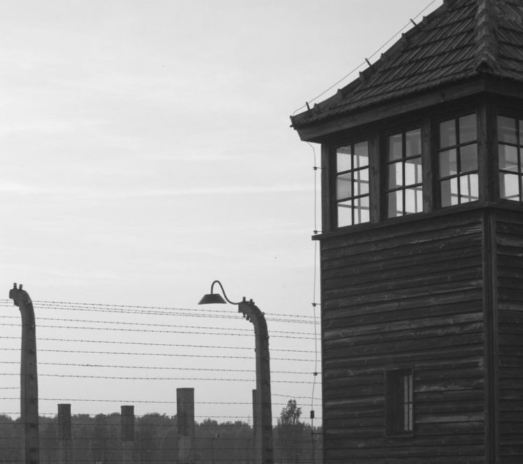 Свинеферма върху концлагер скандализира Чехия