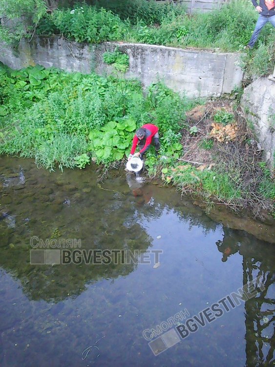 44 килограма балканска пъстърва заплуваха в река Триградска