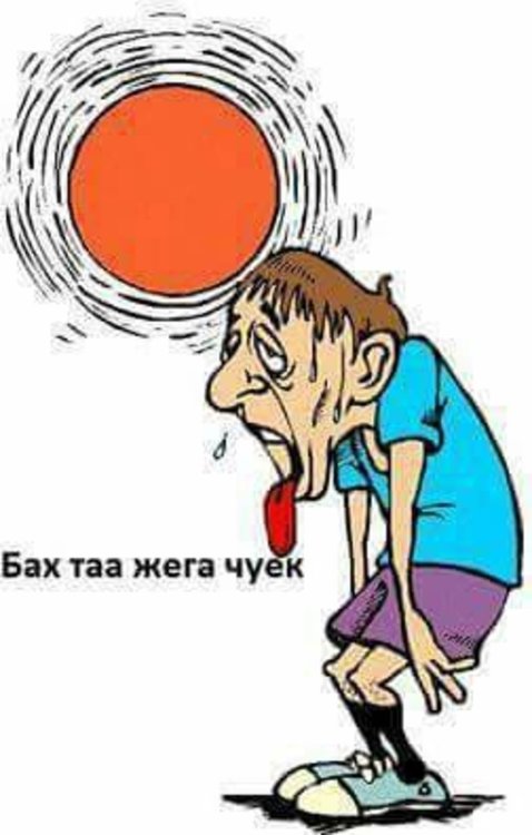 Жегата в Димитровград превзе ...Фейсбук