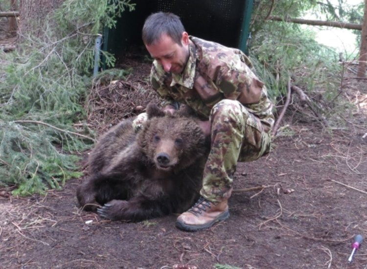 Сигнал за щета от мечка провери групата за бързо реагиране към РИОСВ – Смолян 