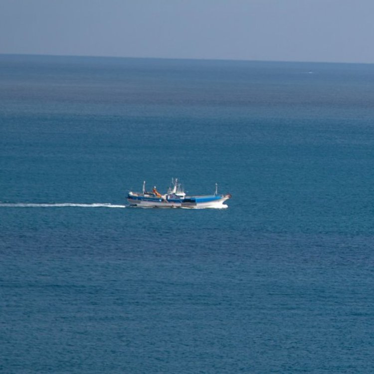 Лондон приложи Брекзит: Спря съвместния риболов