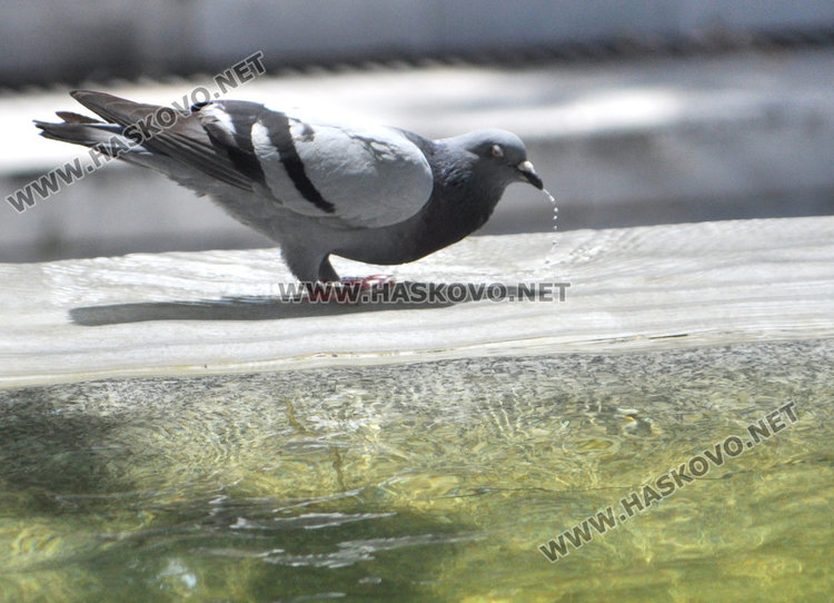 На косъм от рекорд в неделя, в понеделник десет градуса надолу