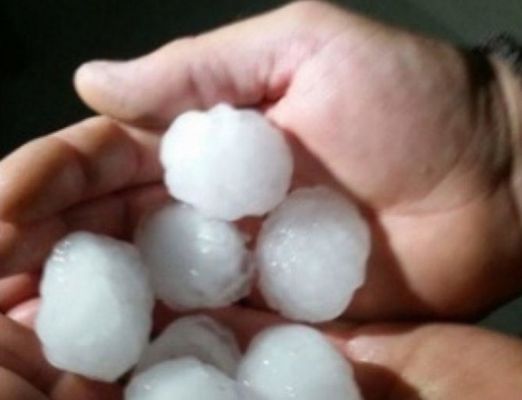 Градушка колкото орех покоси България