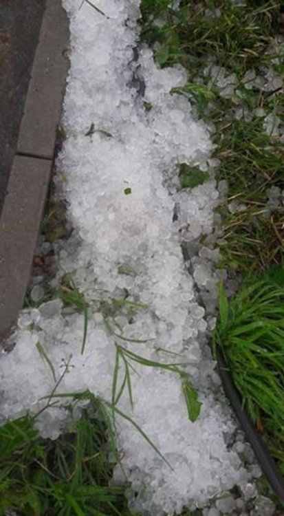 Градушка унищожи зеленчукови градини в ардинското село Светулка