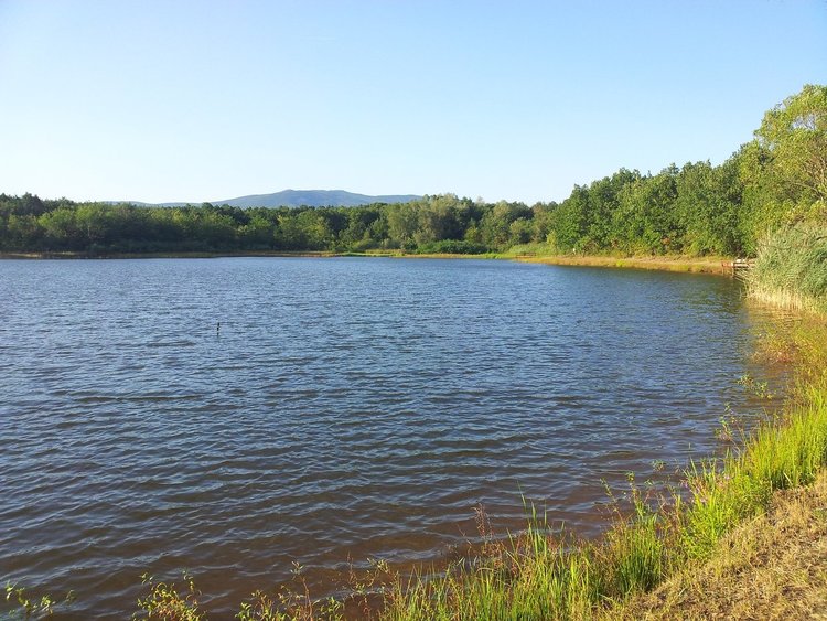 Няма риск от преливане на язовирите, стопанисвани от НЕК