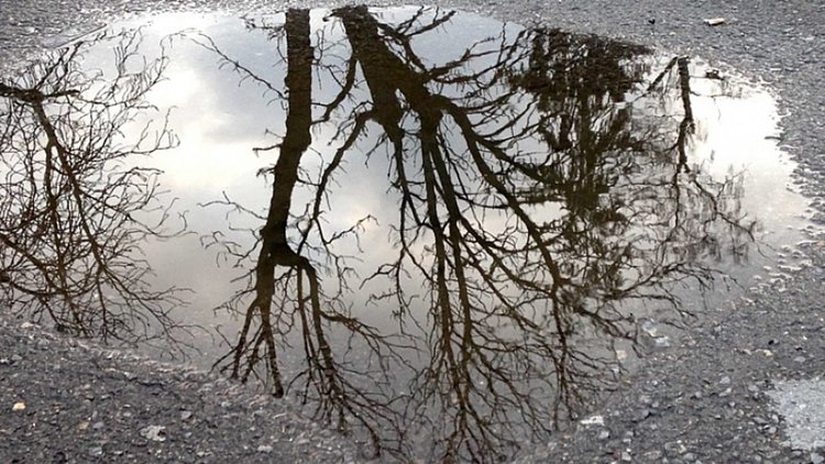 Валежите спират, идва вятърът. Температурите до 26 градуса 