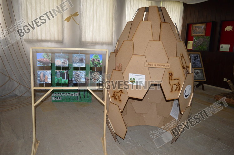 С тайните на природата в музея стартира десетдневна лятна школа за деца