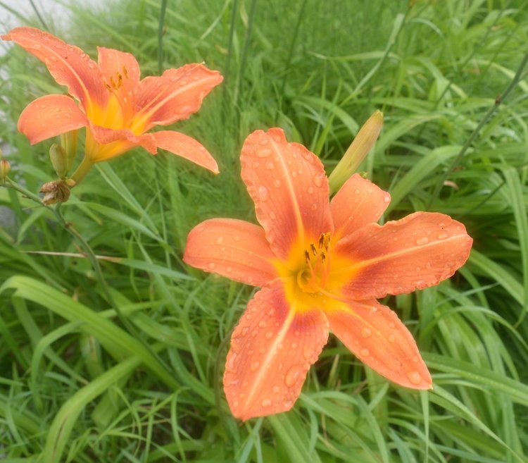 Валежите спират, температурите пак тръгват нагоре