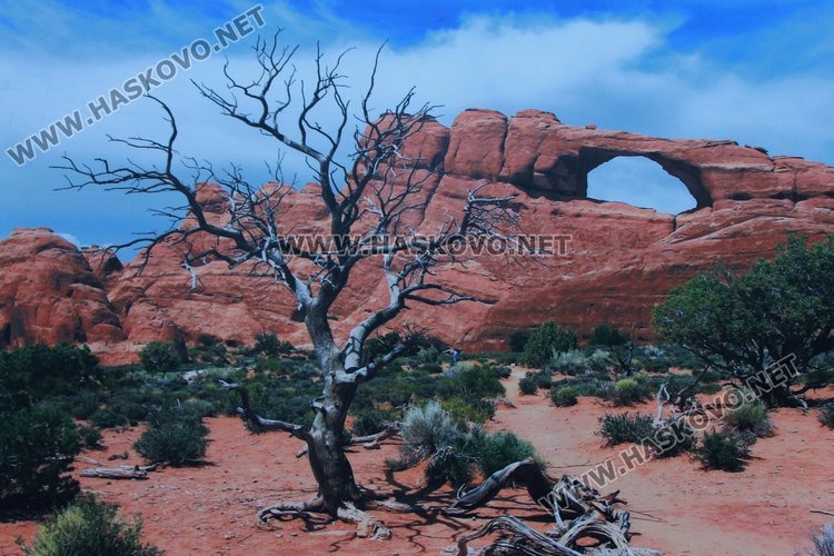 Показаха красивата природа на САЩ  в Лятната читалня