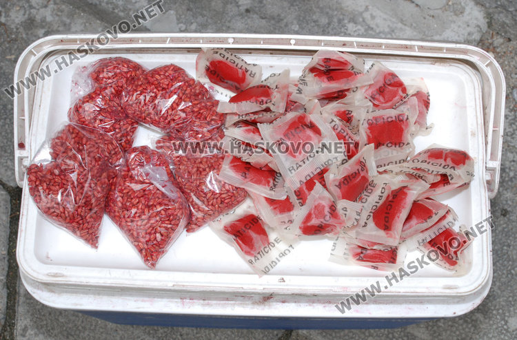 Разпръснаха над 120 кг отрови в шахтите на Хасково срещу гризачи