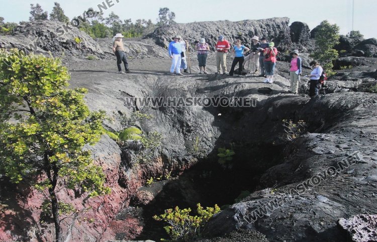 Показаха красивата природа на САЩ  в Лятната читалня