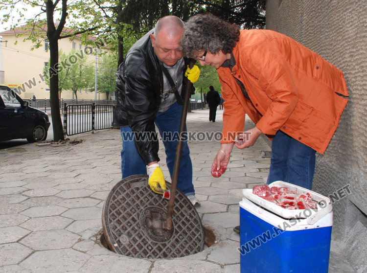 Снимка: архив, снимката е илюстративна