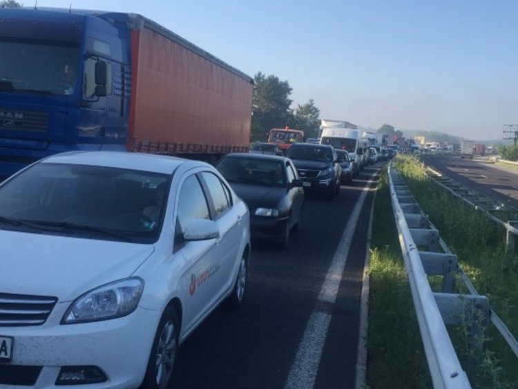 Снимки: Благой Момчилов, NOVA