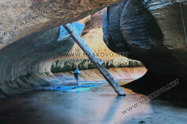 Показаха красивата природа на САЩ  в Лятната читалня