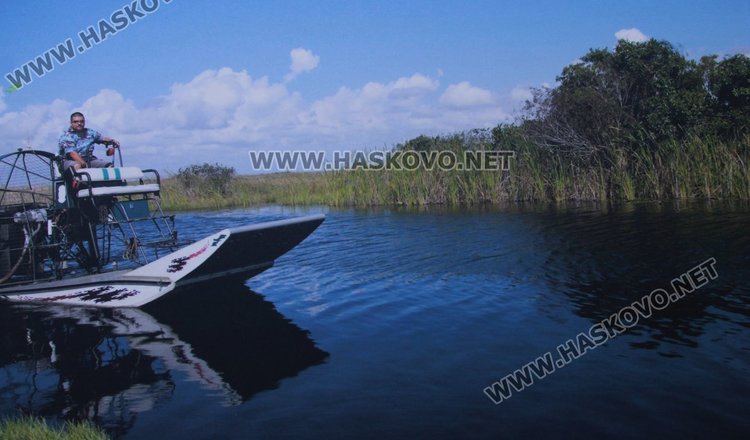 Показаха красивата природа на САЩ  в Лятната читалня