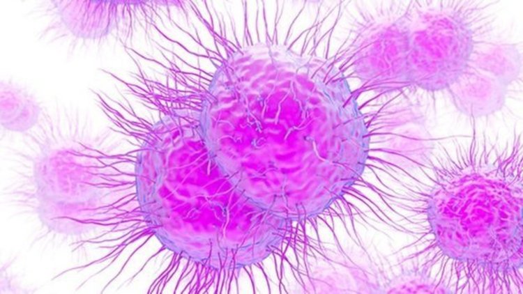 СЗО: Нелечим щам на гонорея се разпространява по света