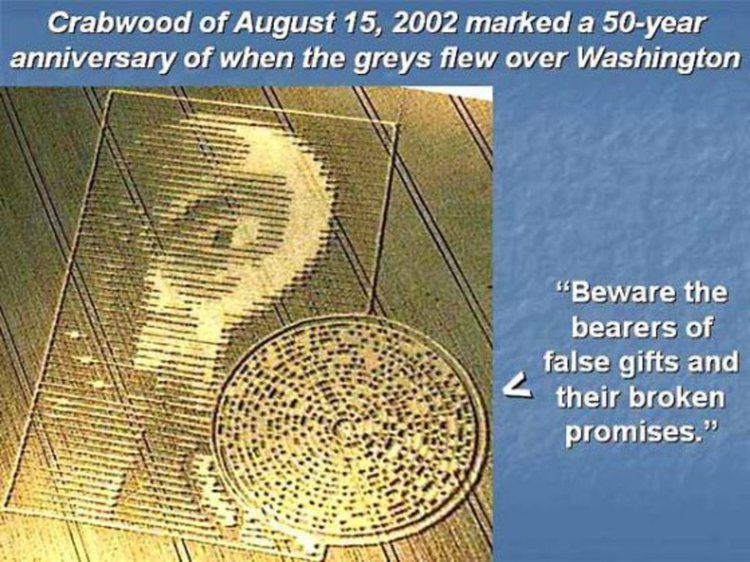 Мистерията на житните кръгове: Поглед отблизо (видео)