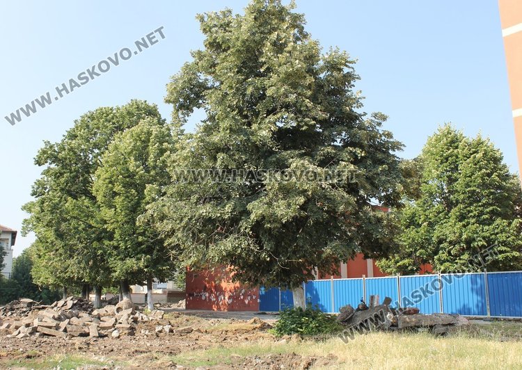 Рушнаха двора на димитровградското ОУ "П.Славейков"