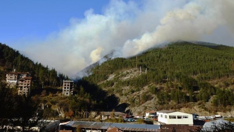 Огнеборците дават указания какво да правим при пожар в гората