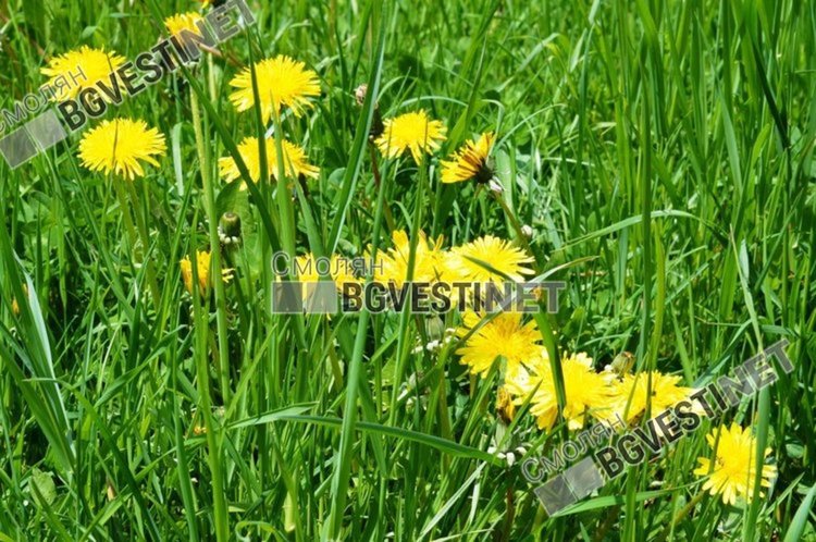 Юлска жега днес, жълт код за опасно високи температури е обявен от НИМХ за 18 области